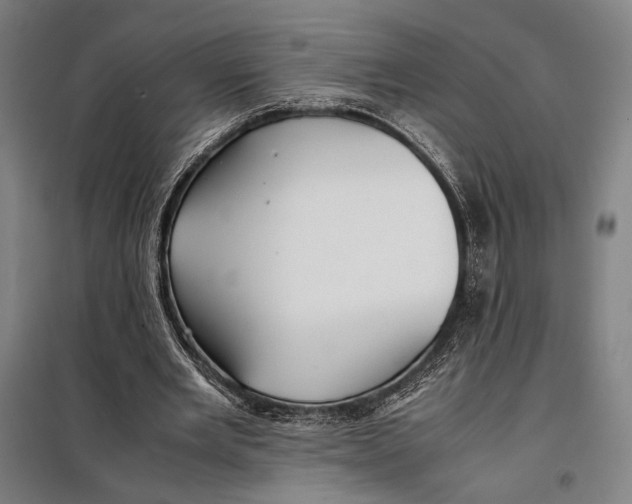 X0000097900485200804041441