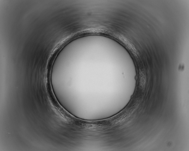 X0000097900486200804041441