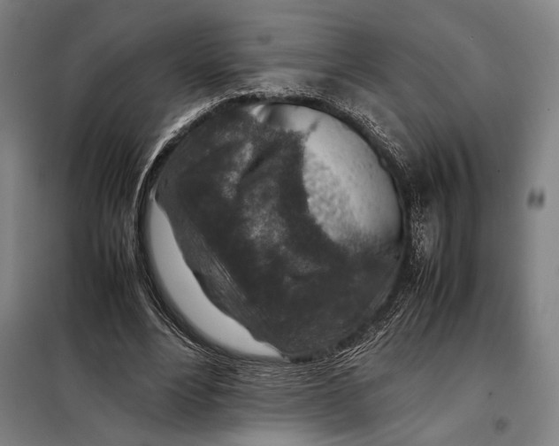 X0000097900488200804041441