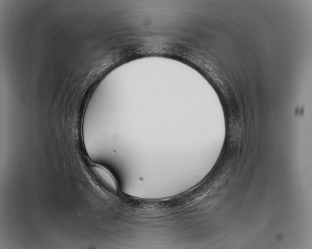 X0000097900489200804041441