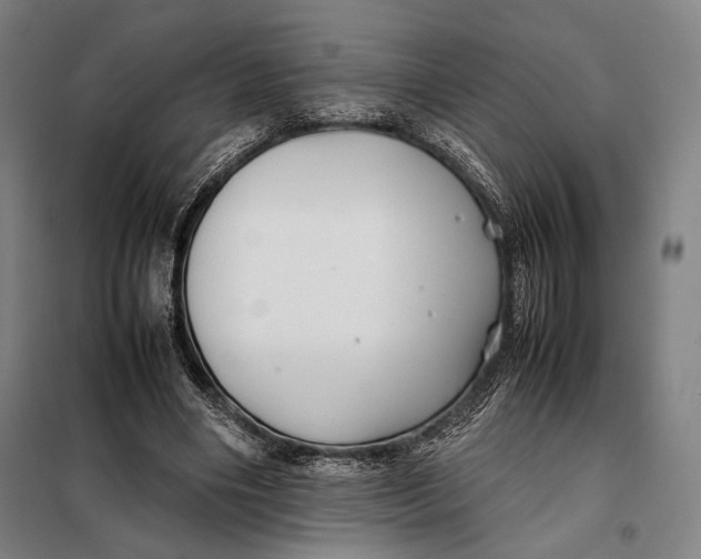 X0000097900490200804041441