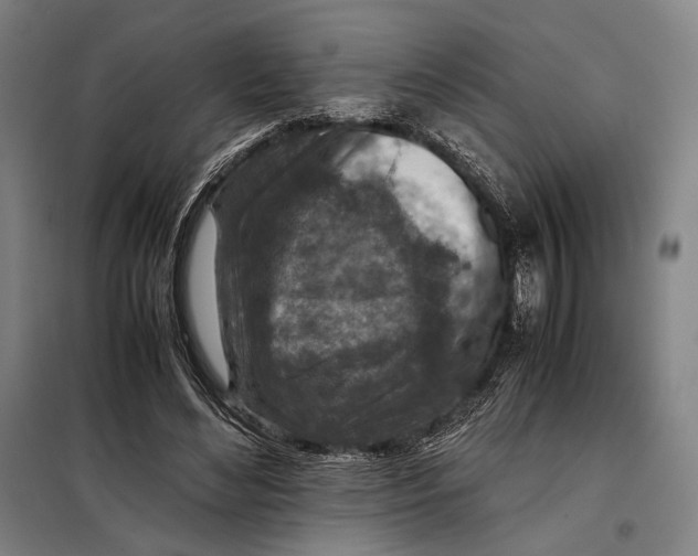 X0000097900492200804041441