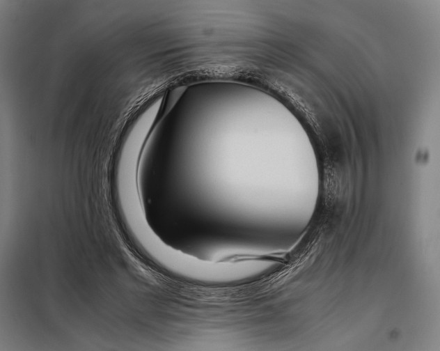 X0000097900493200804041441