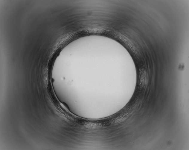 X0000097900494200804041441