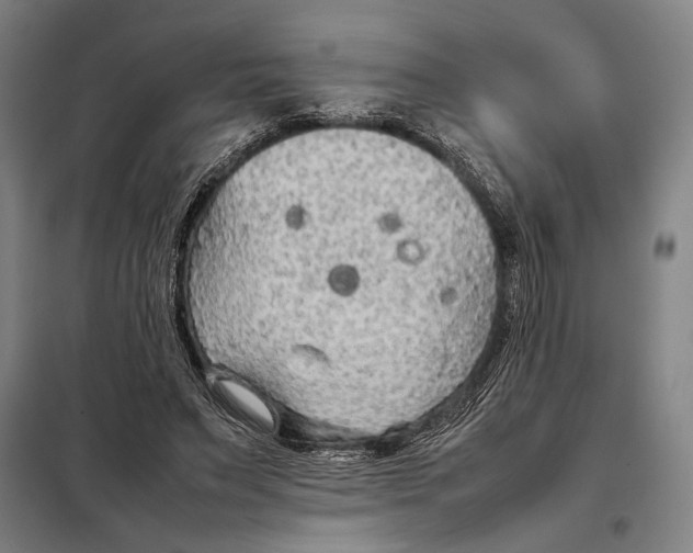 X0000097900495200804041441