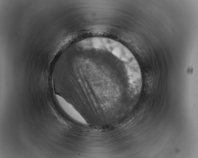 X0000097900496200804041441