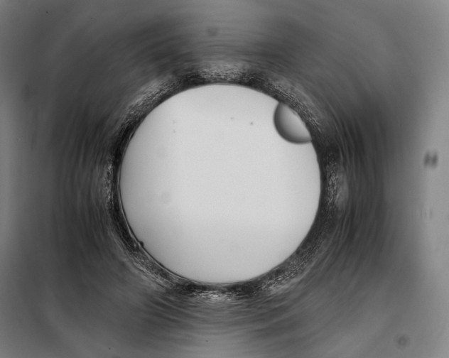 X0000097900498200804041441