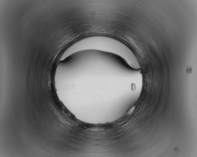 X0000097900500200804041441