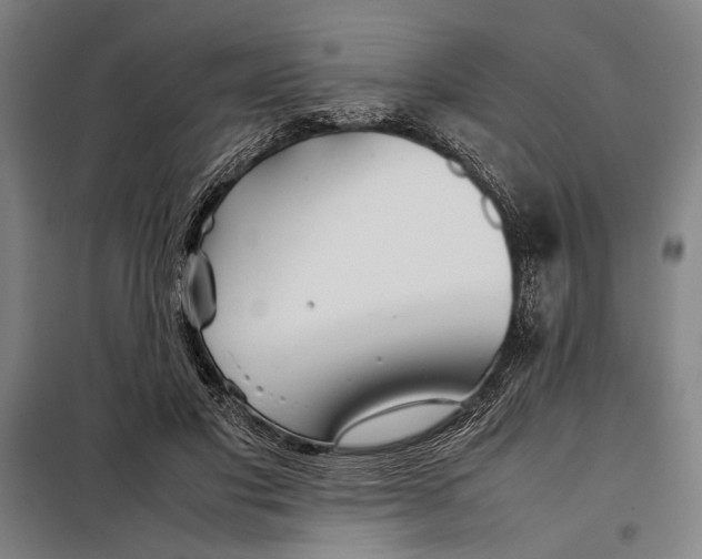 X0000097900501200804041441