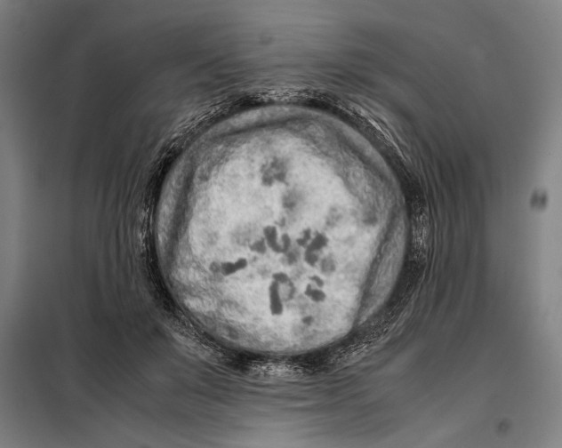 X0000097900503200804041441