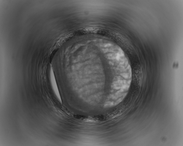 X0000097900504200804041441