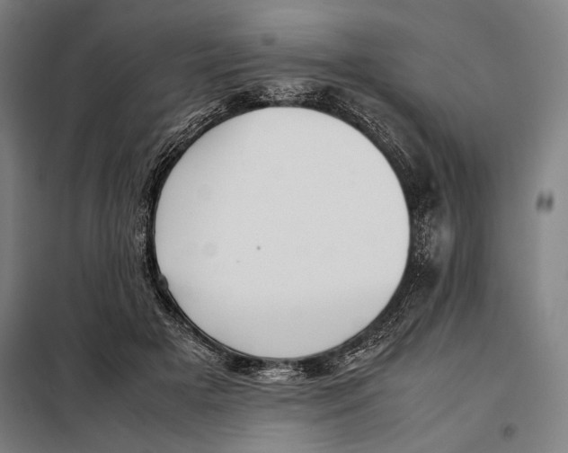 X0000097900505200804041441