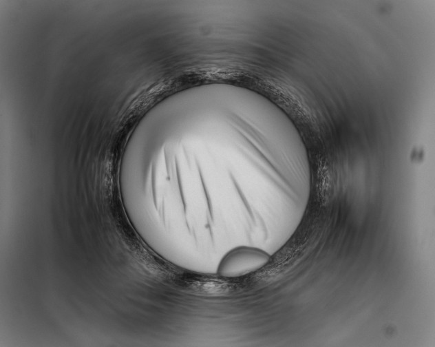 X0000097900506200804041441