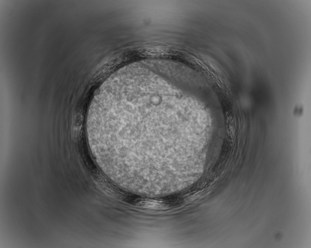 X0000097900507200804041441