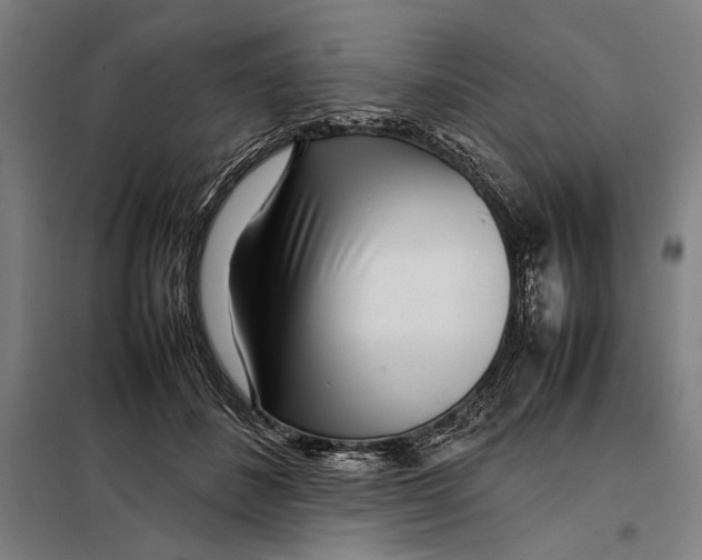 X0000097900508200804041440