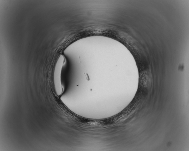 X0000097900509200804041440