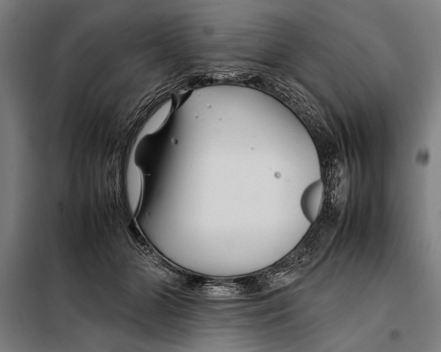 X0000097900510200804041440