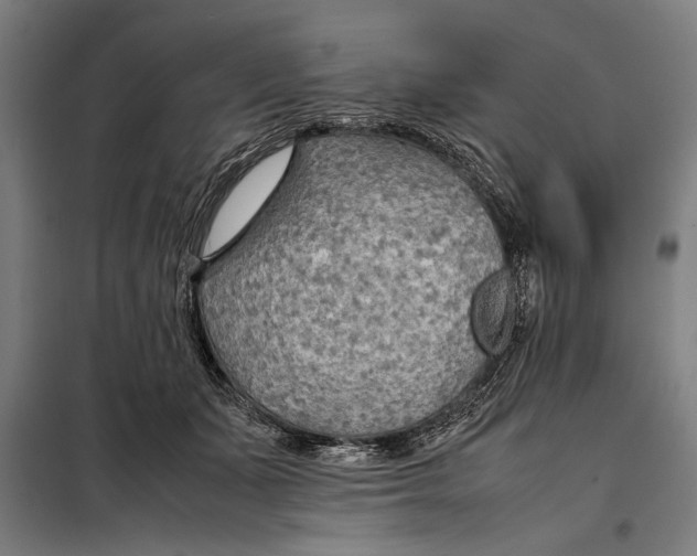 X0000097900511200804041440