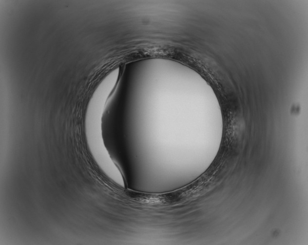 X0000097900513200804041440