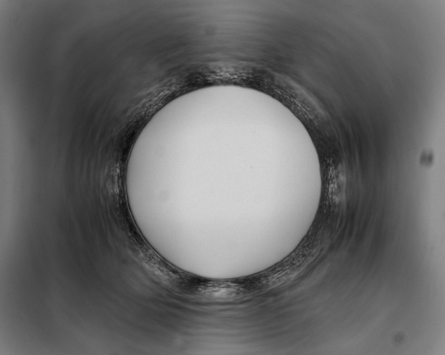 X0000097900514200804041440