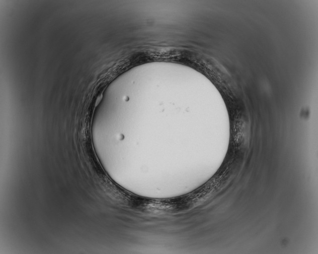 X0000097900515200804041440