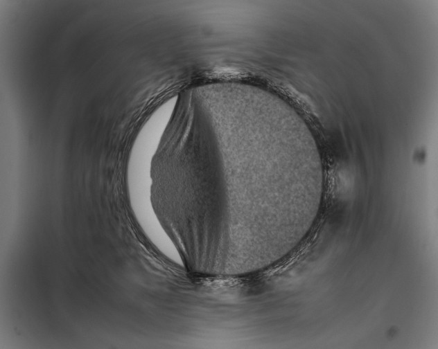 X0000097900517200804041440