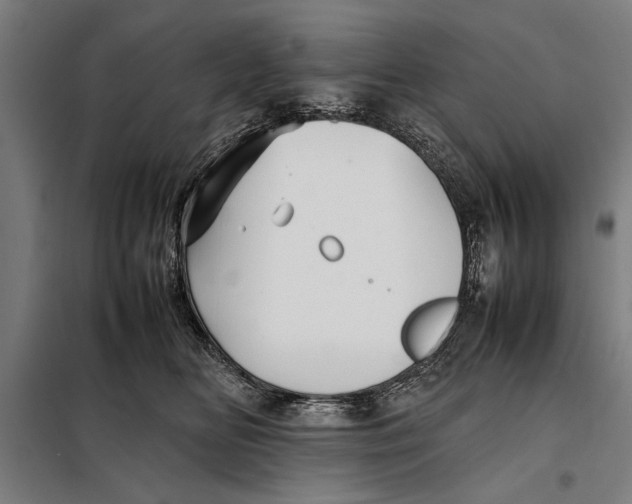 X0000097900518200804041440