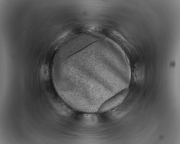 X0000097900520200804041440