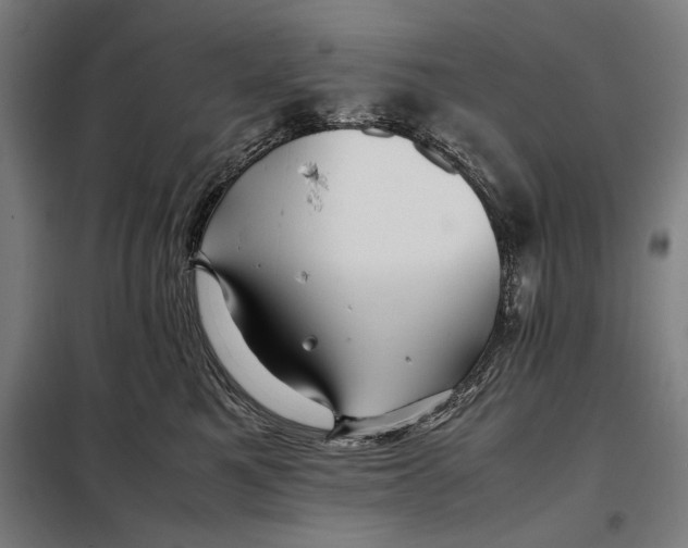 X0000097900521200804041440