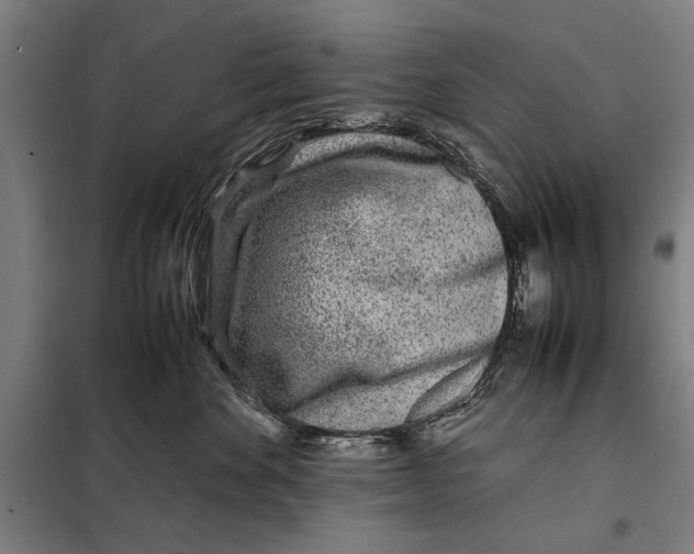 X0000097900524200804041440