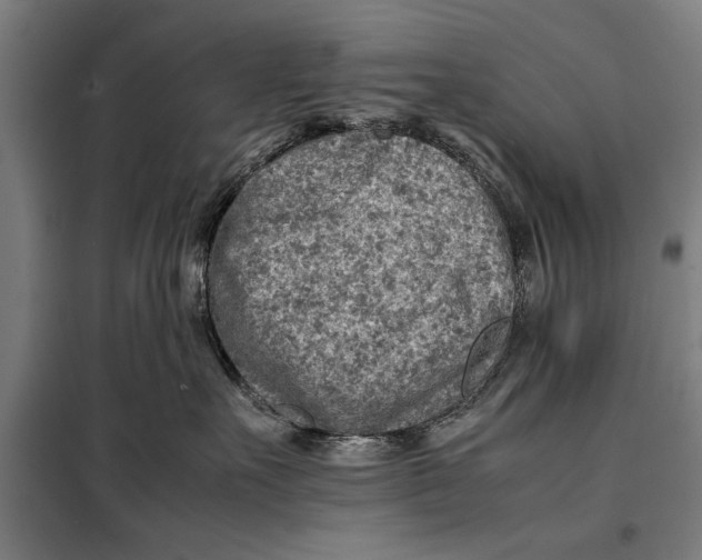 X0000097900527200804041440