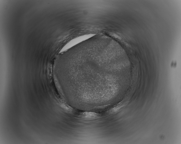 X0000097900528200804041440