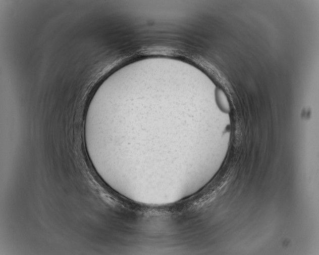 X0000097900529200804041439