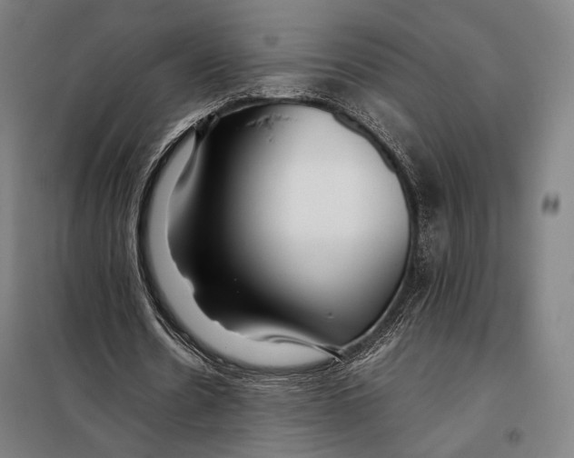 X0000097900530200804041439