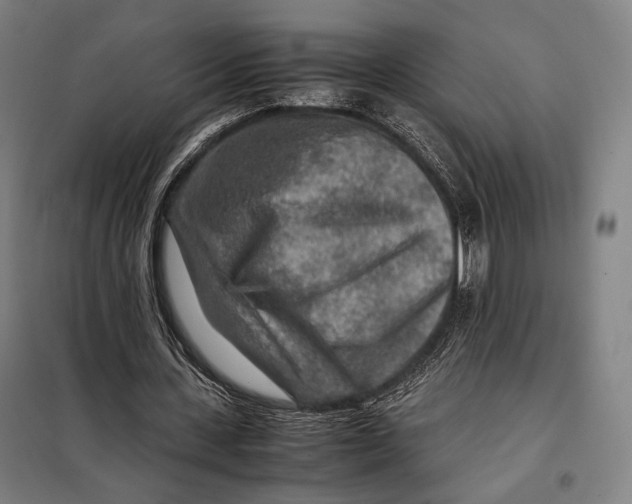 X0000097900531200804041439