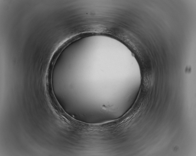 X0000097900532200804041439