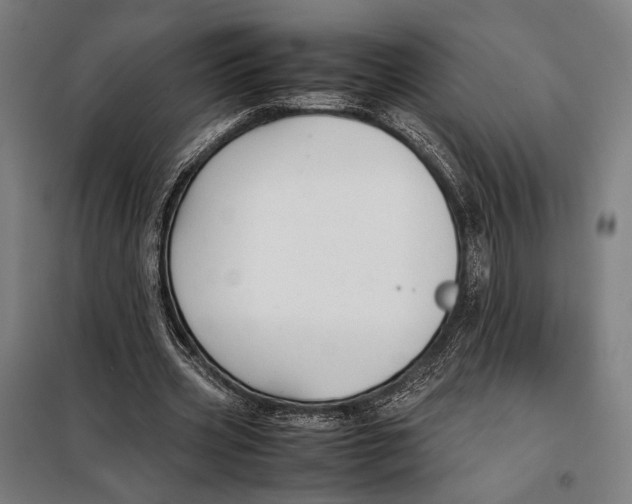 X0000097900533200804041439