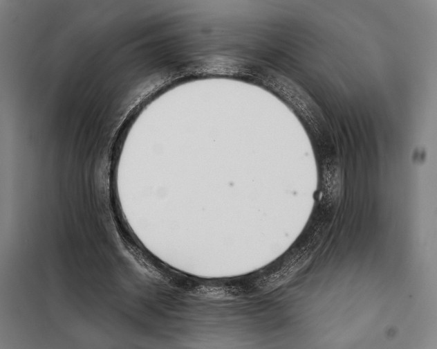 X0000097900534200804041439