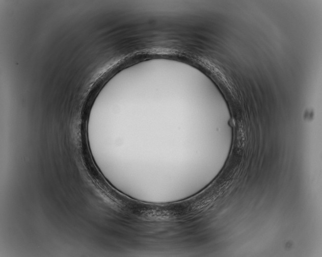 X0000097900535200804041439