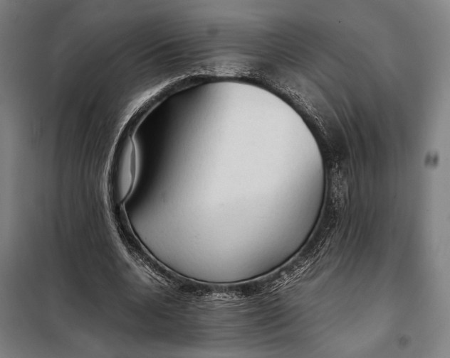 X0000097900536200804041439