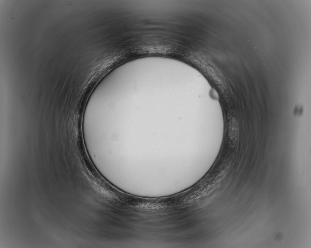 X0000097900537200804041439