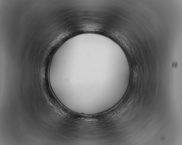 X0000097900539200804041439