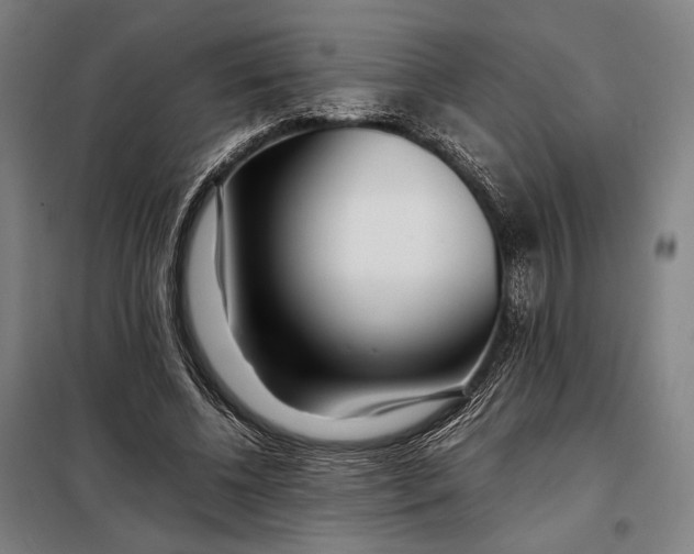 X0000097900540200804041439