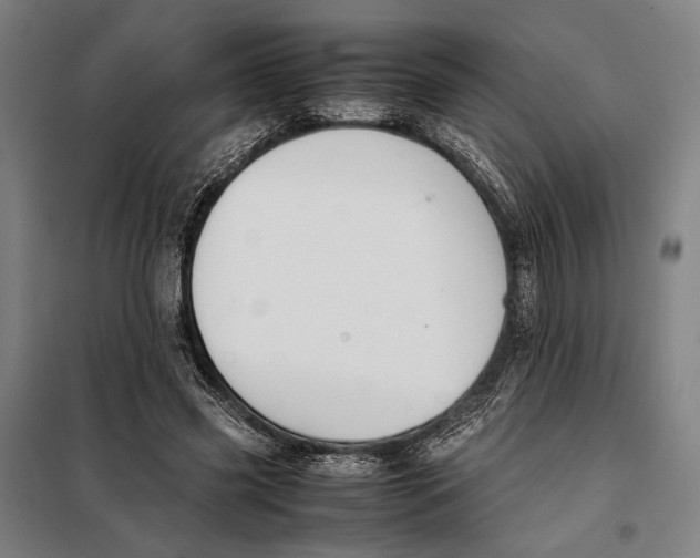 X0000097900541200804041439