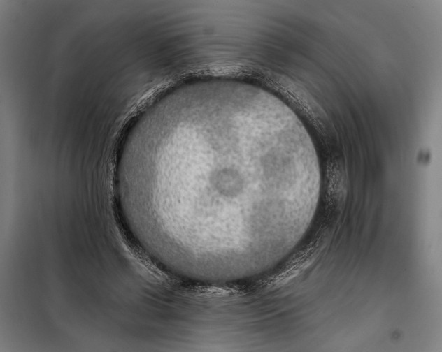 X0000097900542200804041439