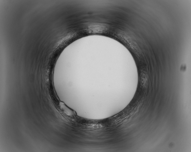 X0000097900543200804041439