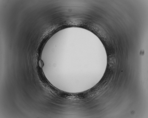 X0000097900544200804041439