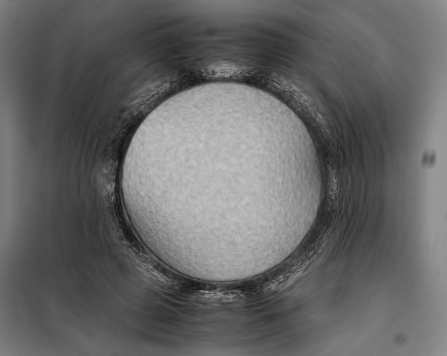 X0000097900545200804041439