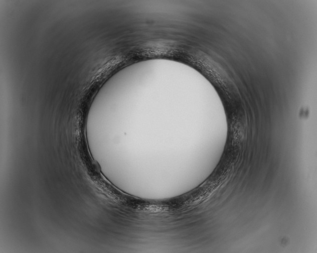 X0000097900546200804041439