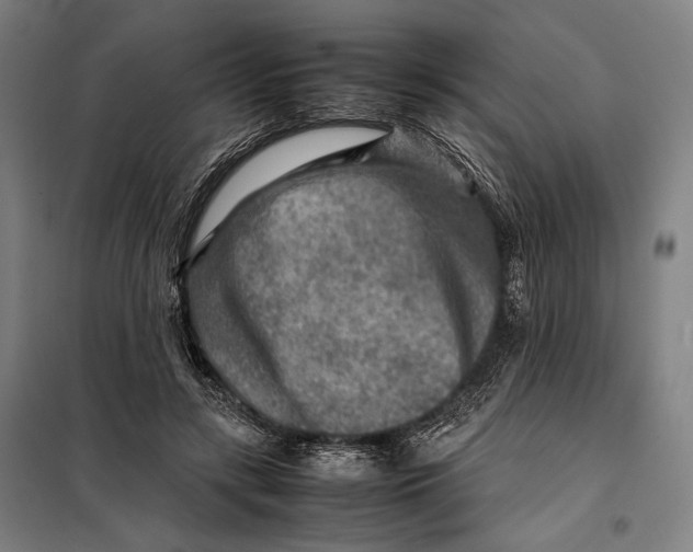 X0000097900547200804041439